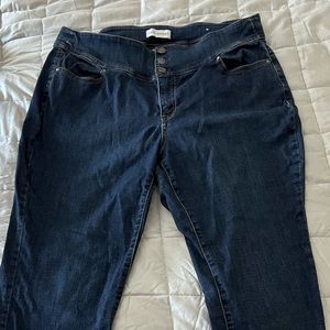 Lane Bryant high waisted skinny jeans size 20